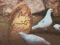 استشهاد الامام السجاد